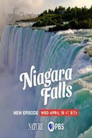 Niagara Falls poszter