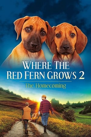 Where The Red Fern Grows Part 2 poszter