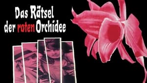 Das Rätsel der roten Orchidee háttérkép