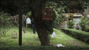 A Última Vez Que Vi Macau háttérkép
