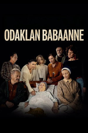 Koncentriši se, baba poszter