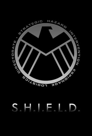 A S.H.I.E.L.D. ügynökei poszter