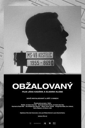 Obžalovaný poszter