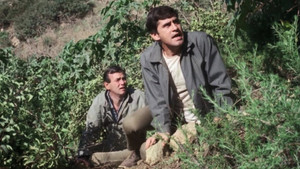 The Fugitive Season 4 Ep.23 23. epizód