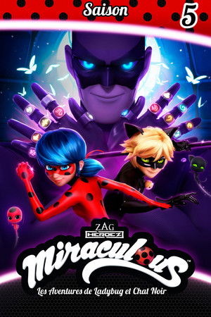 Miraculous Katicabogár és Fekete Macska kalandjai