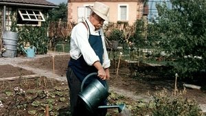 Le Jardinier d'Argenteuil háttérkép
