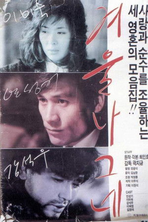 겨울 나그네 poszter