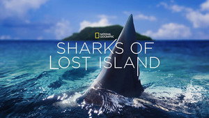 Sharks of Lost Island háttérkép