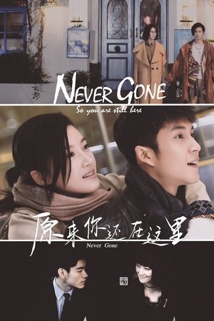 原来你还在这里 poszter