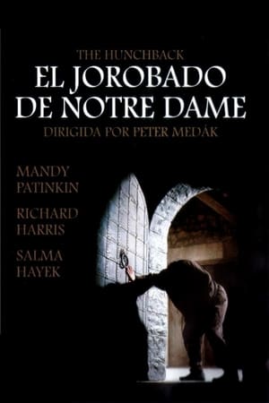 Notre Dame-i toronyőr poszter