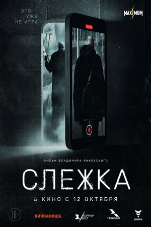 Слежка poszter