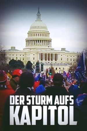 Der Sturm aufs Kapitol - Ein amerikanisches Trauma poszter