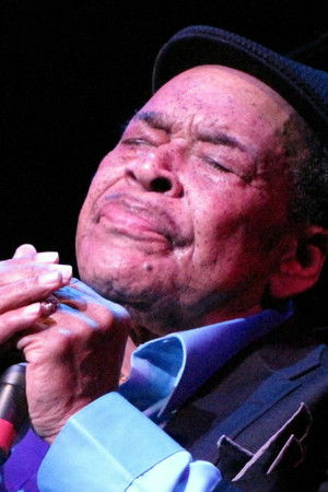 James Cotton profil kép