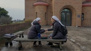 샤인 háttérkép
