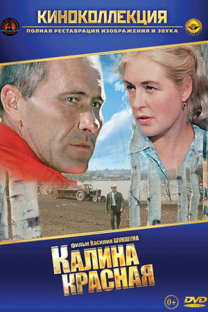 Vörös kányafa poszter