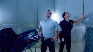 Hawaii Five-0 5. évad Ep.20 Ösztön