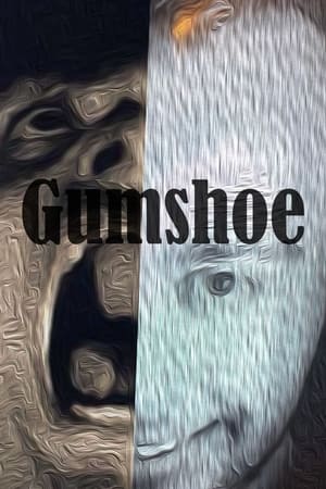 Gumshoe: Or the life and death of Richard Hill