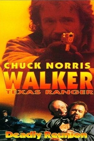 Walker Texas Ranger 3: Deadly Reunion poszter