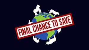 Final Chance to Save kép