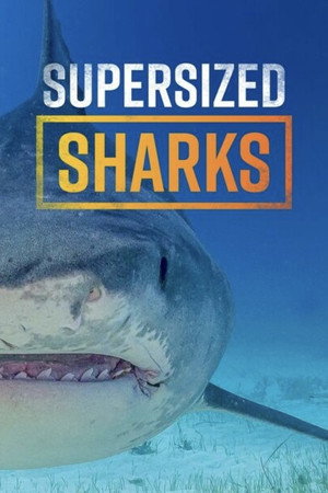 Supersized Sharks poszter