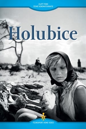 Holubice poszter