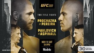 UFC 295: Prochazka vs. Pereira háttérkép