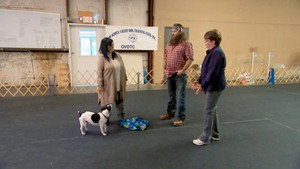 Duck Dynasty 7. évad Ep.9 9. epizód