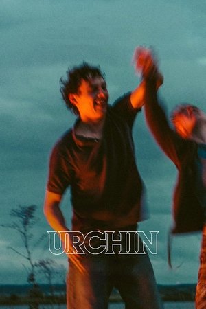 Urchin poszter