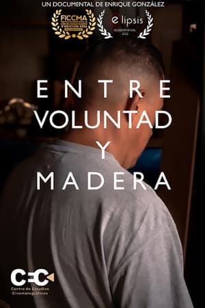 Entre voluntad y madera