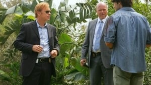 CSI: Miami-helyszínelők 7. évad Ep.4 Őrjöngő kannibál