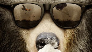 Cocaine Bear: The True Story háttérkép