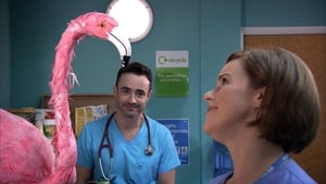 Holby City 17. évad Ep.27 27. epizód