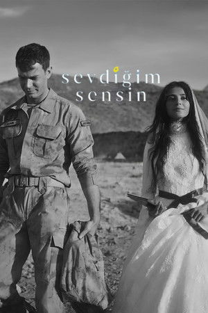 Sevdiğim Sensin poszter