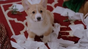 A Very Corgi Christmas háttérkép