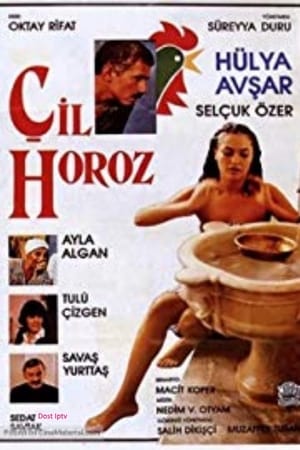 Çil Horoz poszter