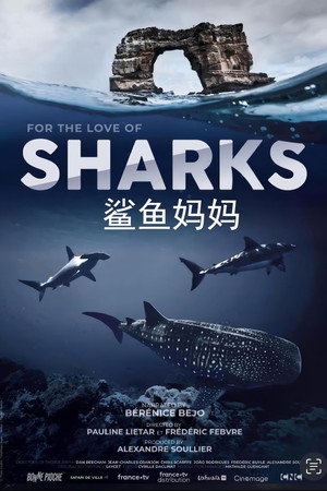 Au plus près des requins poszter