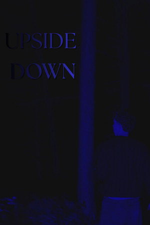 Upside Down - эксперимент summer 2025 poszter