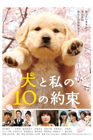 犬と私の10の約束 poszter