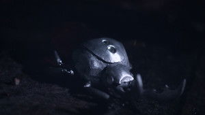 #P0ZME háttérkép