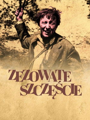 Zezowate szczęście poszter