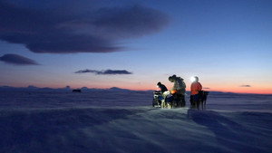 Musher, l'appel de l'Alaska háttérkép