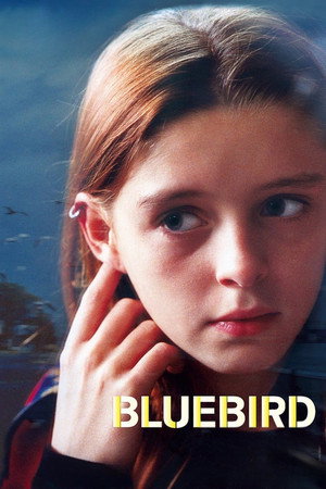 Bluebird poszter