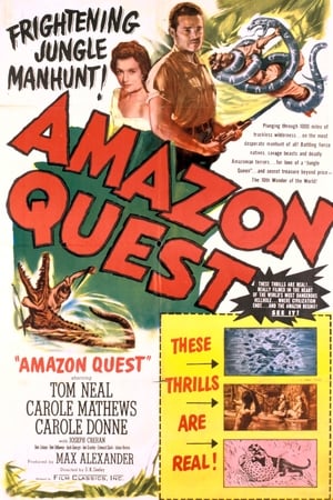 Amazon Quest poszter