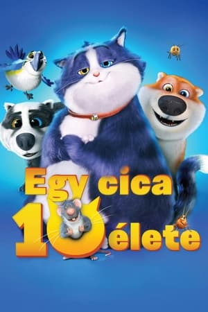 Egy cica 10 élete