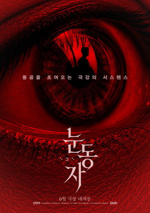 눈동자 poszter