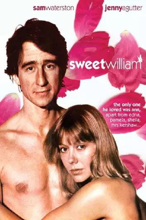 Sweet William poszter