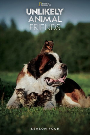 Unlikely Animal Friends