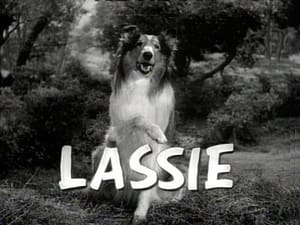 Lassie Season 19 Ep.1 1. epizód