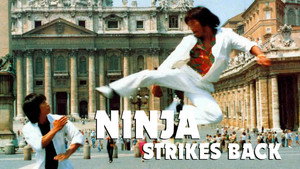 Bruce Strikes Back háttérkép