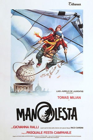 Manolesta poszter